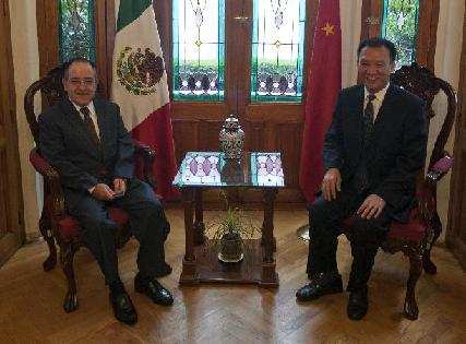 龙新南会见墨西哥内政部副部长