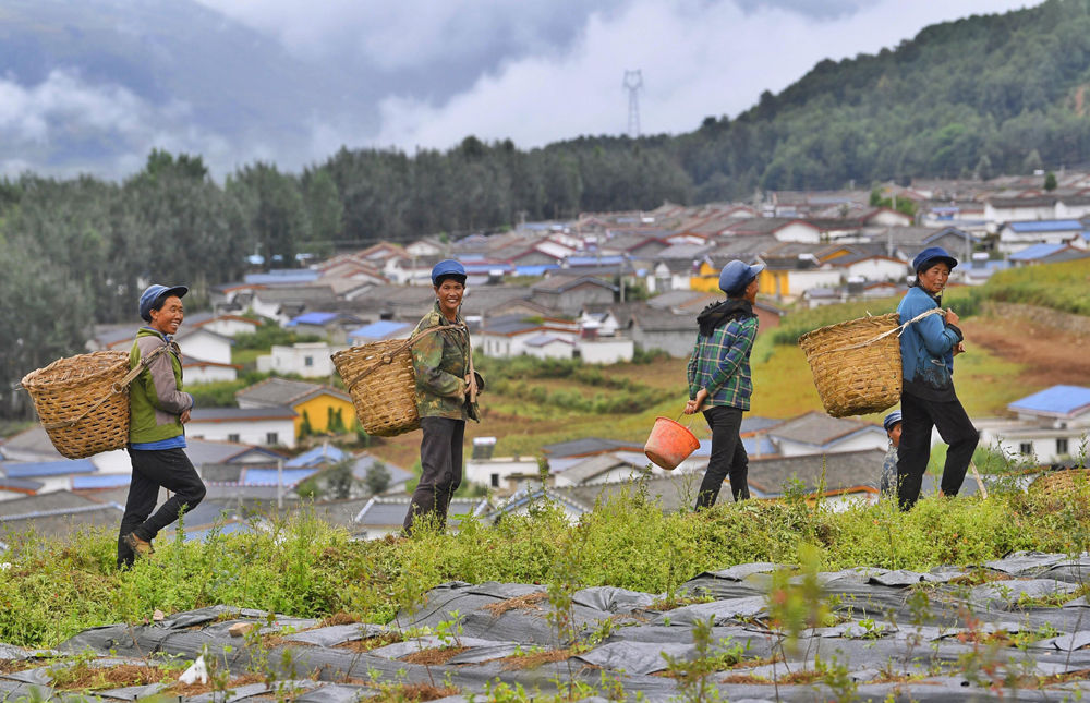 "春运母亲"背后的彝族女性命运之变