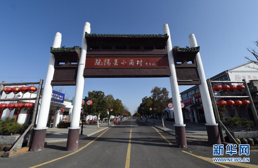 振兴,田野的新希望问答