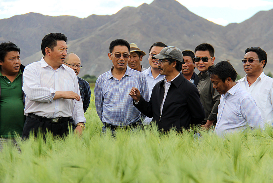 全国表彰大会上,为什么只有他没到?