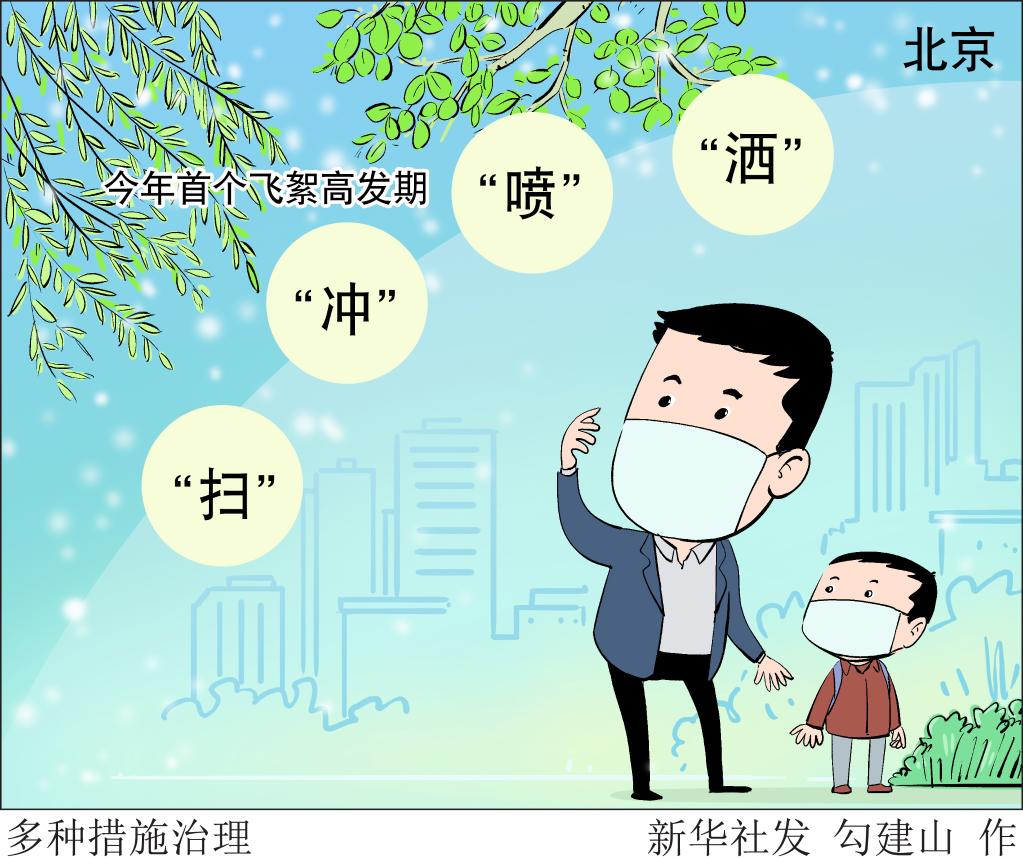 北京进入今年首个飞絮高发期持续约5天