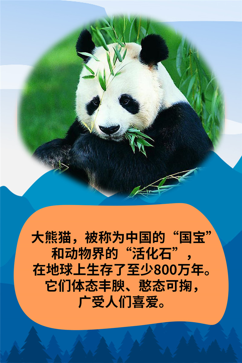 世界地球日丨珍稀动物"萌萌哒",你都认识吗?