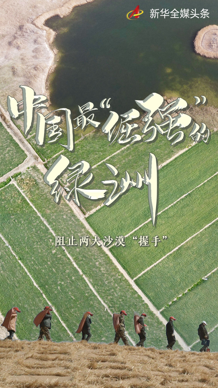 最"倔强"的绿洲——民勤这是甘肃省民勤县青土湖景色(2021年3月2日摄