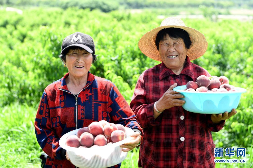 荒山披"绿装" 村民奔小康