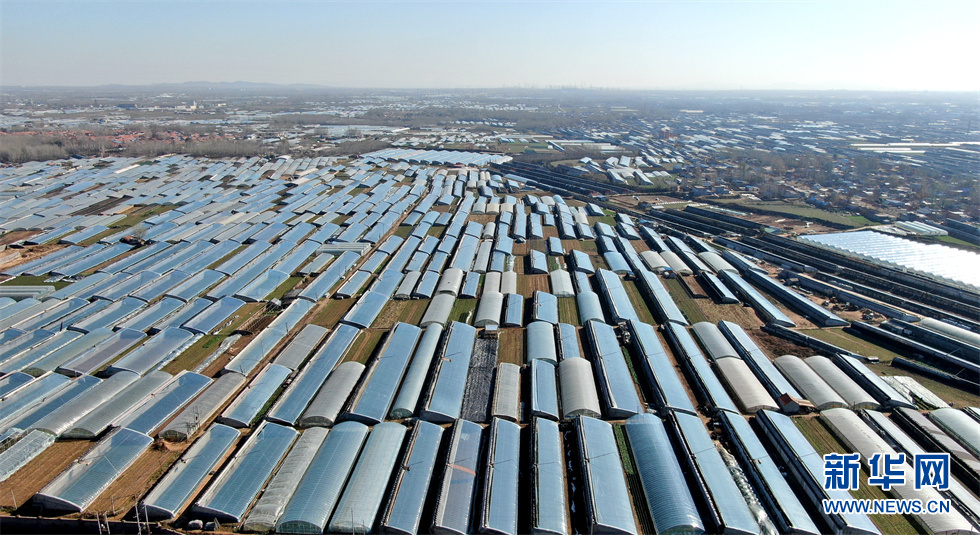 壮观!空中俯瞰山东沂南蔬菜"棚海"