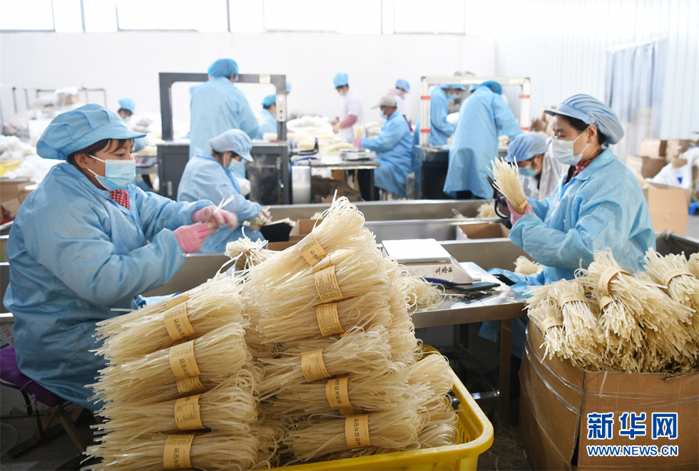 冬闲时节,山东省枣庄市山亭区农民将当地盛产的地瓜制作成粉条,粉皮