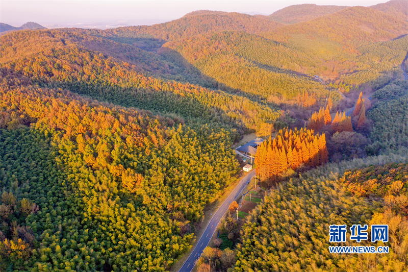 航拍南京溧水无想山:初冬美景入画来