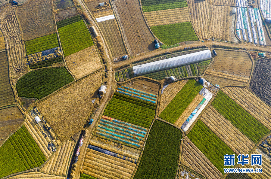 飞阅中国七彩菜地绘美景