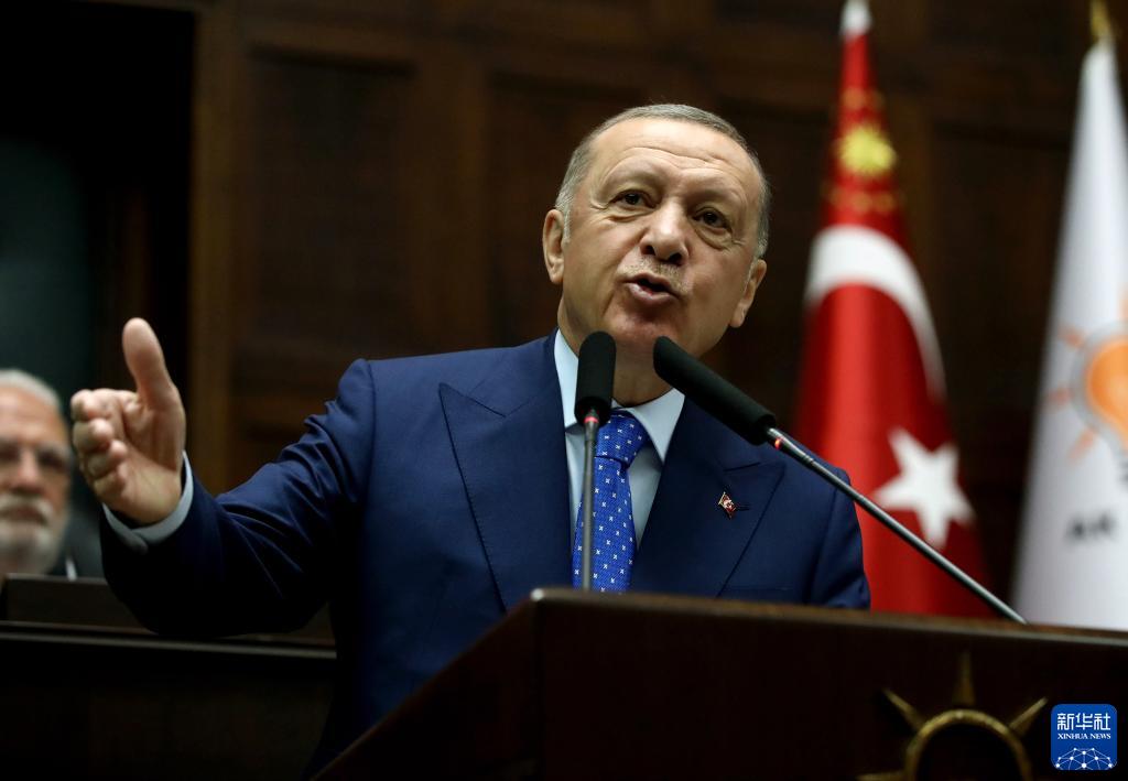 芬兰和瑞典支持库尔德工人党和叙利亚库尔德武装"人民保护部队",这与