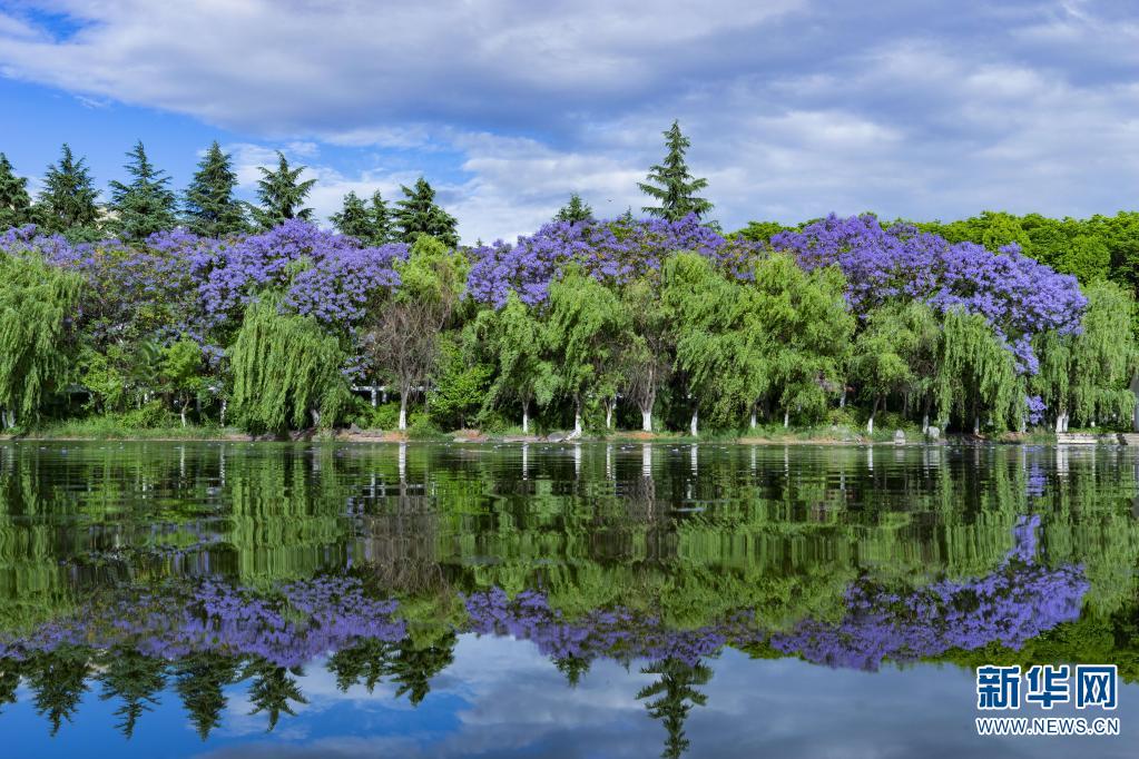 云南昆明宝海公园景如画