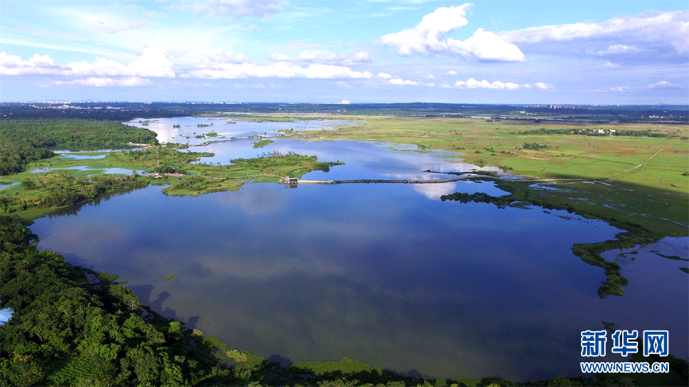 地球之肾湿地之美