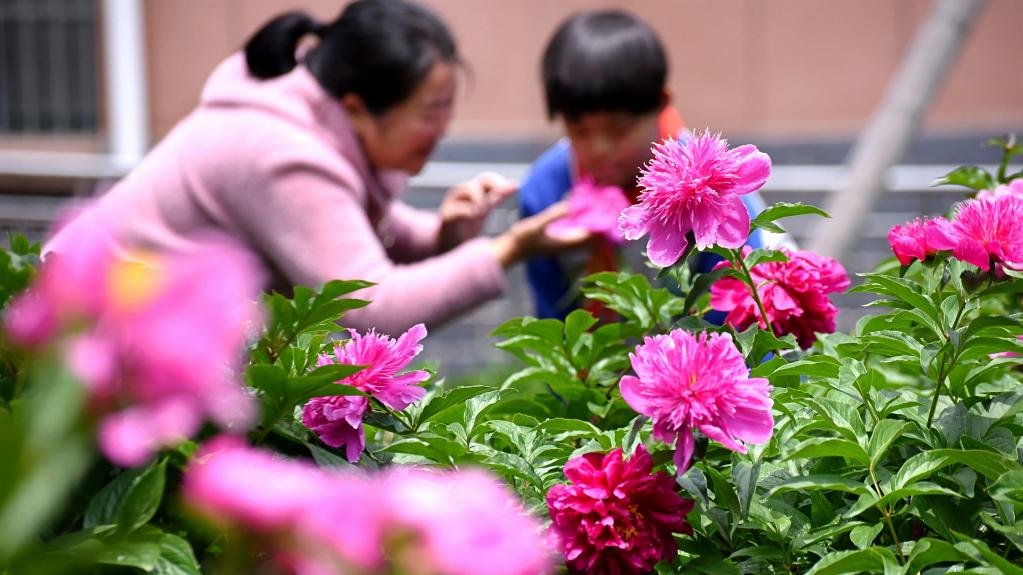 周自扬 吴斯洋报道员:廖薇 陈家杰 苏海 王睿璇 先开霞主持人:高涵审