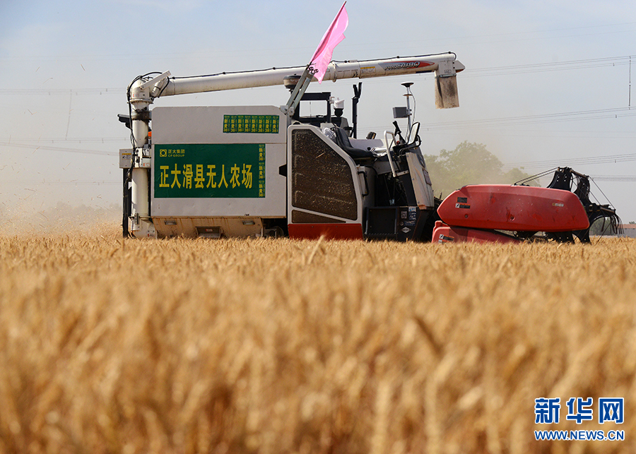 "无人收割机"以北斗导航技术为支撑,通过自动驾驶收割小麦