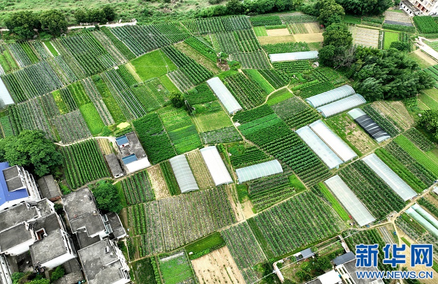 近日,从高空俯瞰江西省遂川县乡村田野,一片绿意盎然,菜地,稻田就像一