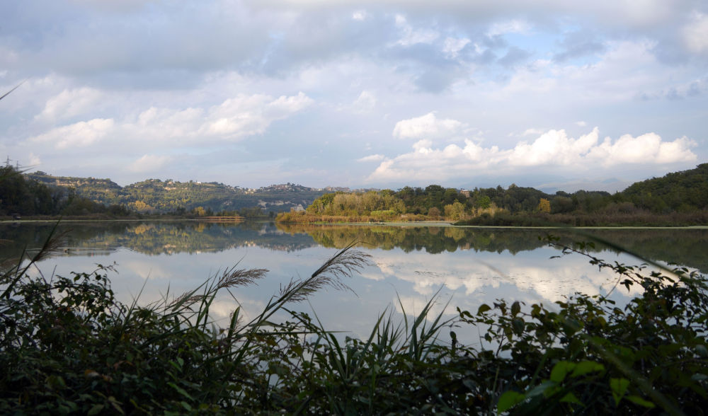 全球连线丨湿地之美·意大利纳扎诺泰韦雷-法尔法自然保护区-新华网