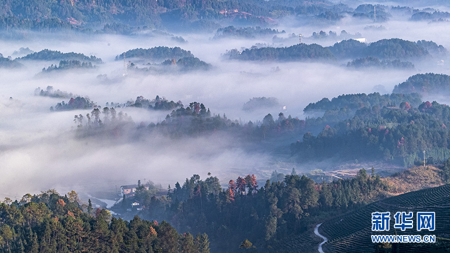 带你看风景| 重庆南川：初冬田园美如画-新华网