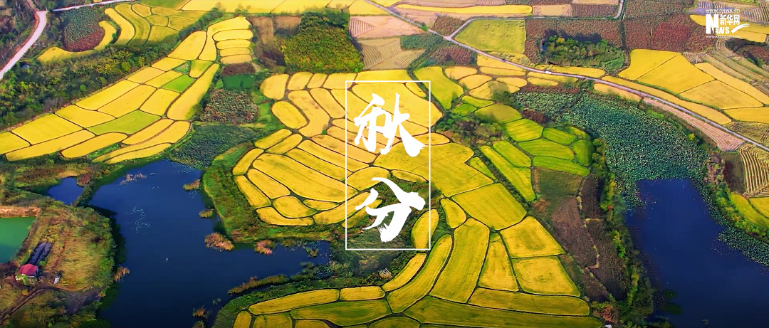 凉风有信 万物知秋稻谷归仓 果实累累雷始收声 风清露冷秋色平分 北雁