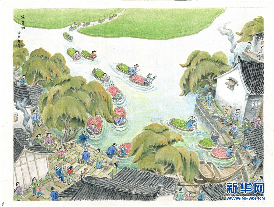 近几年,油车港镇充分挖掘菱文化底蕴,在推动南湖菱画,南湖菱歌等传统