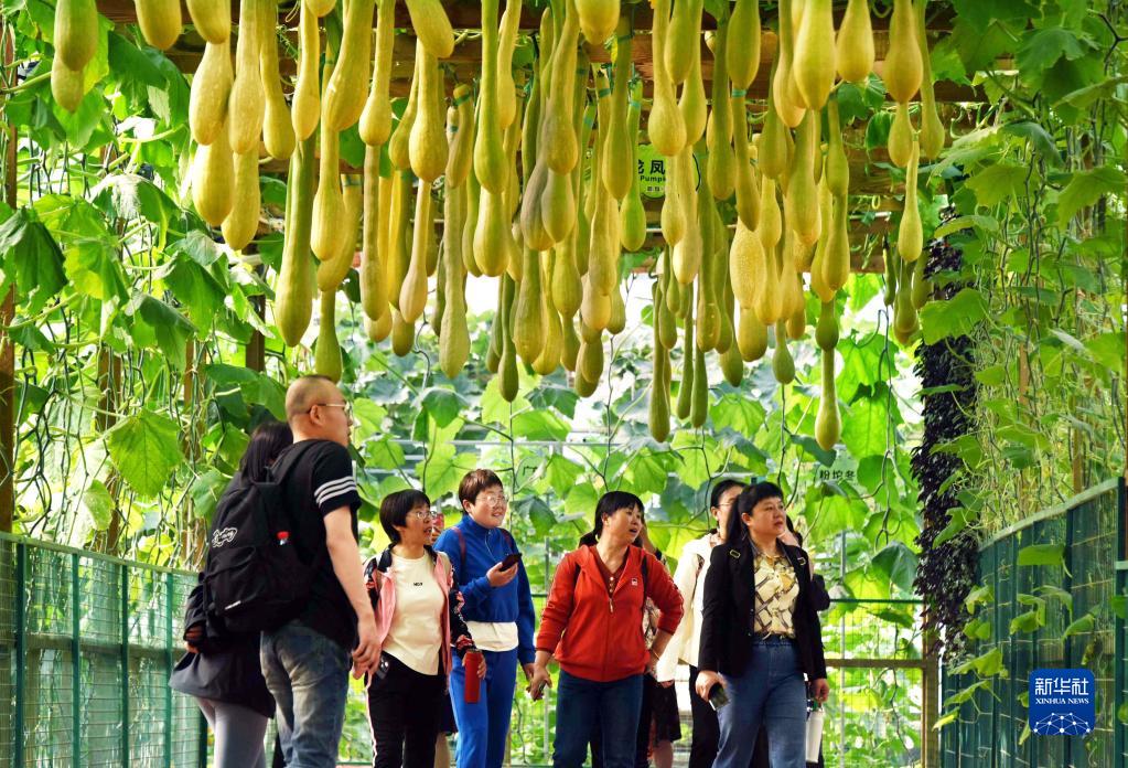 新华全媒 丨第二十四届中国(寿光)国际蔬菜科技博览会开幕-新华网