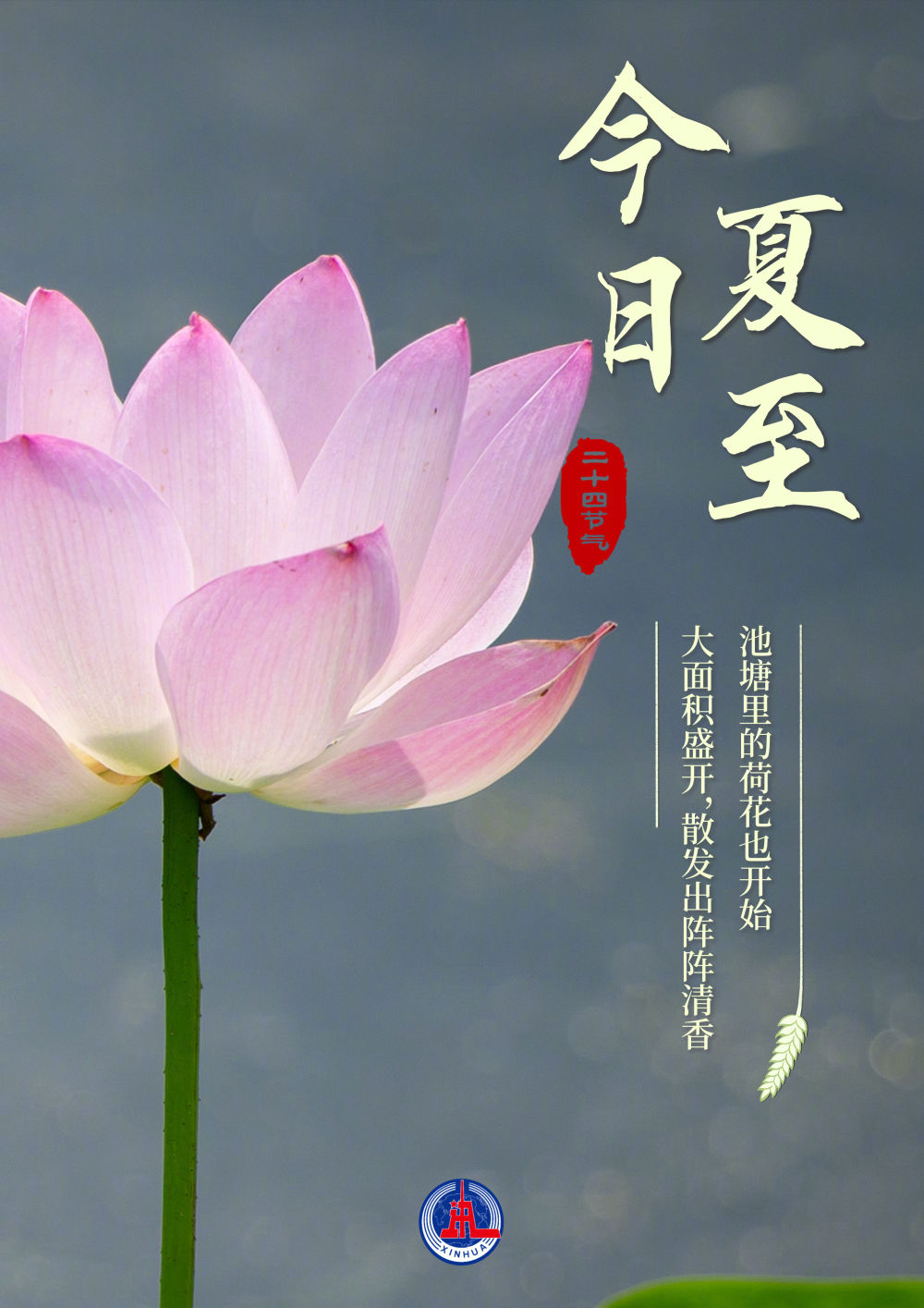 今日夏至-新华网