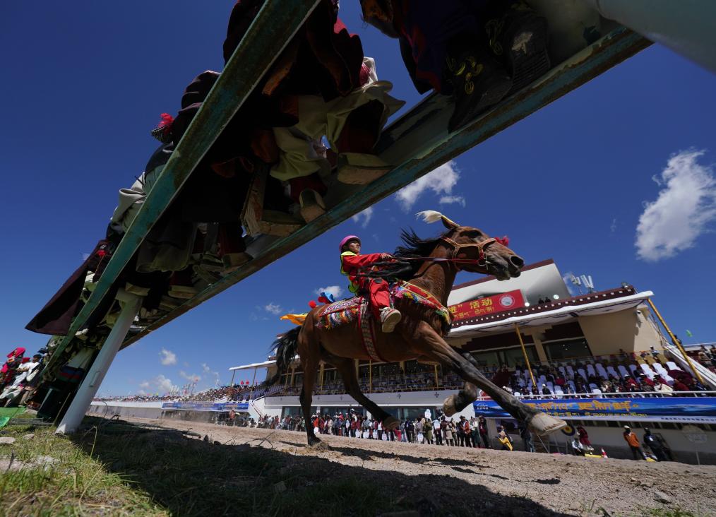 那曲恰青赛马节:感受藏北牧民的夏日狂欢