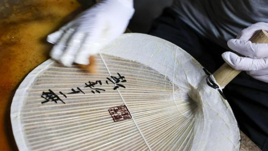 我的光影故事2024丨守望非遗技艺 记录指尖上的“闽东之光”