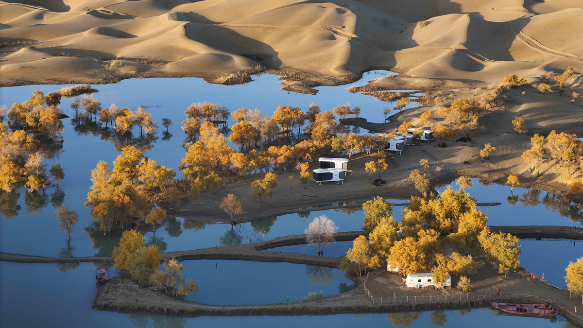 这些镜头，记录下生态中国之美