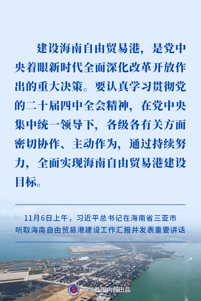 高标准建设海南自贸港,习近平总书记提出明确要求-新华网
