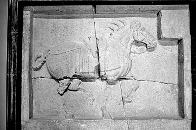 昭陵六骏的千年回眸 昭陵六骏的千年回眸