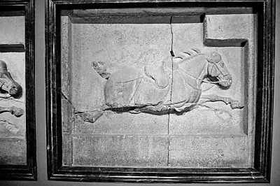 昭陵六骏的千年回眸 昭陵六骏的千年回眸