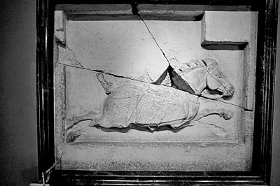 昭陵六骏的千年回眸 昭陵六骏的千年回眸