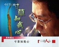 “寸草知我心”