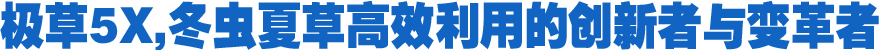 极草5X,冬虫夏草高效利用的创新者与变革者