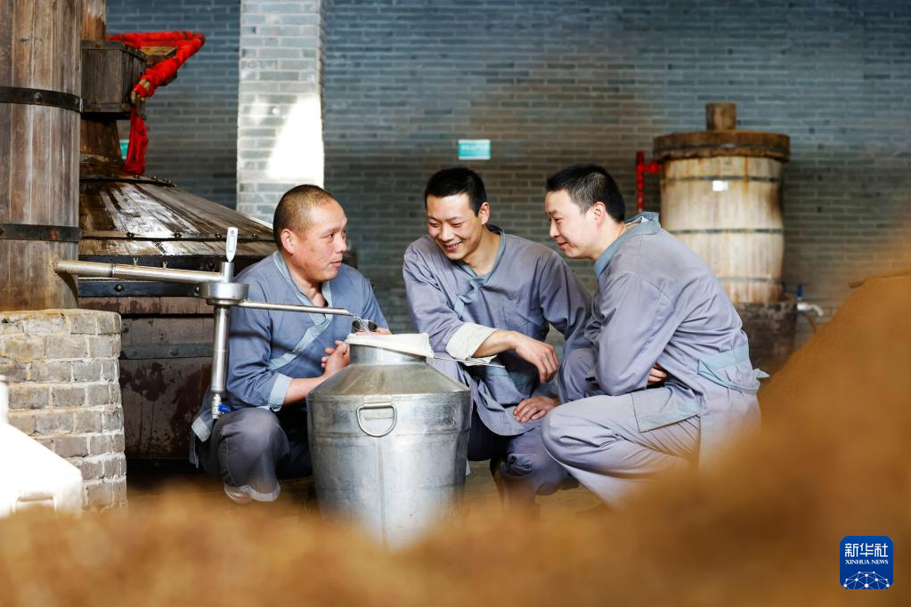 新年伊始,江苏省宿迁市泗洪县双沟镇各酒厂格外繁忙,酿酒工人按照制曲