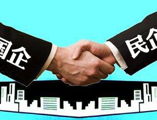 专题：大国能源策之混合所有制改革