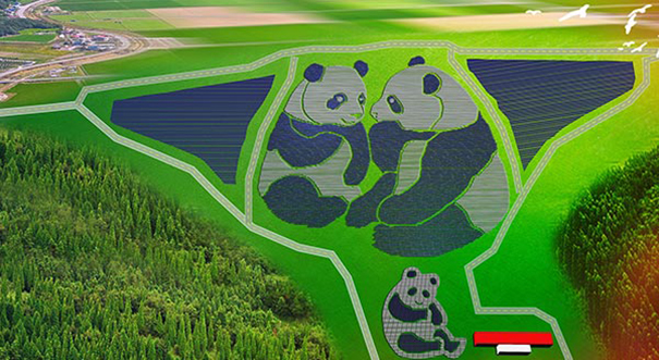 解密全球首座熊猫光伏电站:集纳世界前沿技术 传播绿色能源理念