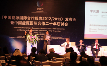 孙贤胜：中石油在东道国公益投资二十年超1.5亿美元