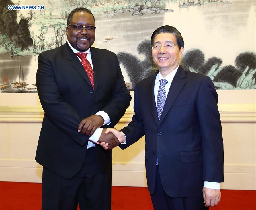 CHINA-BEIJING-GUO SHENGKUN-SOUTH AFRICA-MEETING (CN)