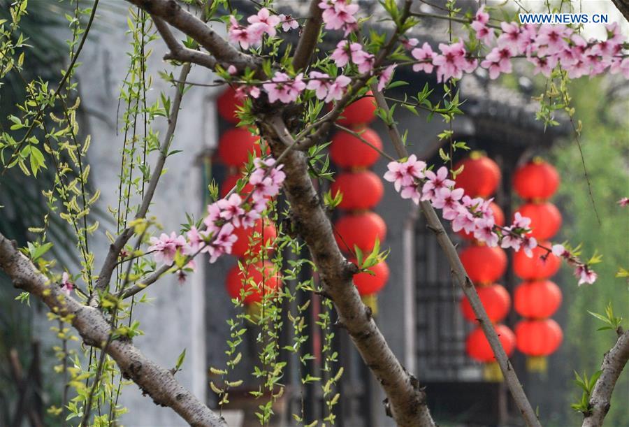 Chinese Spring Feature Tourists enjoy spring scenery in E China - Xinhua | English.news.cn