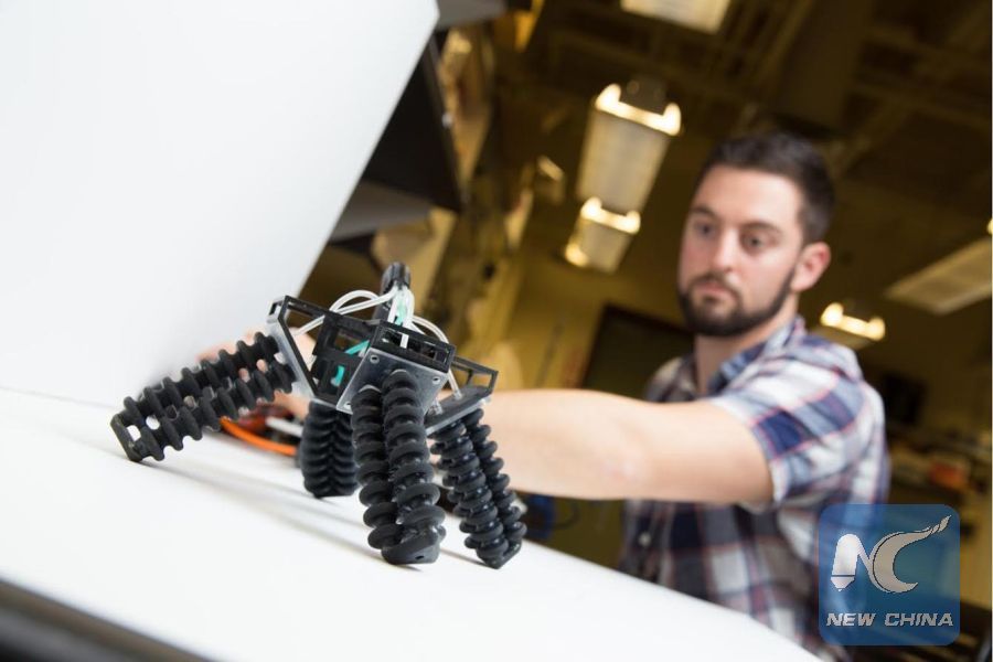 3D-printed soft, four-legged robot can walk on sand - Xinhua | English ...