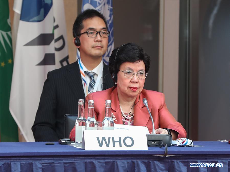 world health organization (who) director-general margaret chan