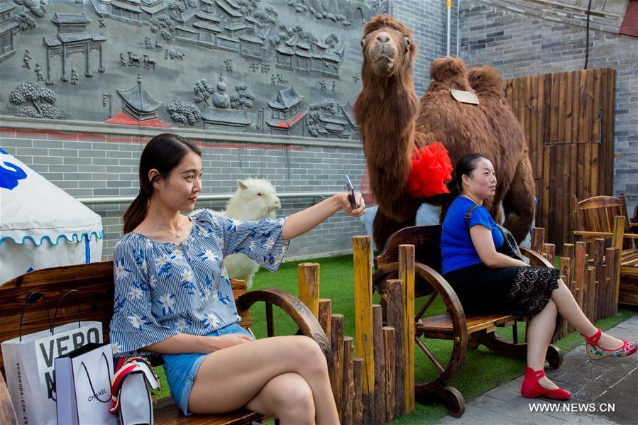 #CHINA-HOHHOT-FOOD STREET (CN)