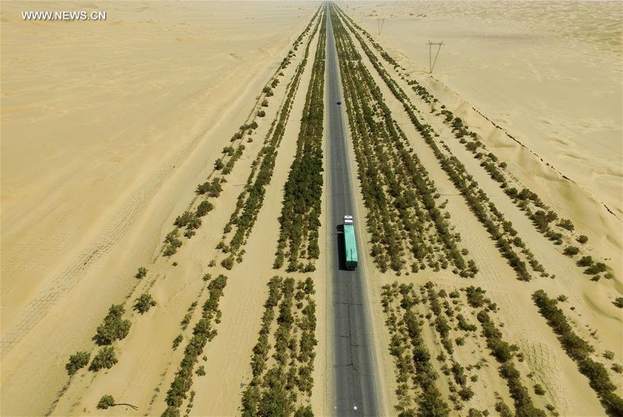 CHINA-XINJIANG-HIGHWAY-SHELTER FOREST(CN)