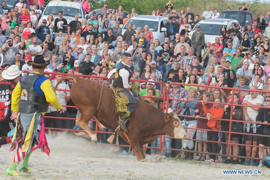 Rodeo Bull Riding Central European Championships held in Hungary ...