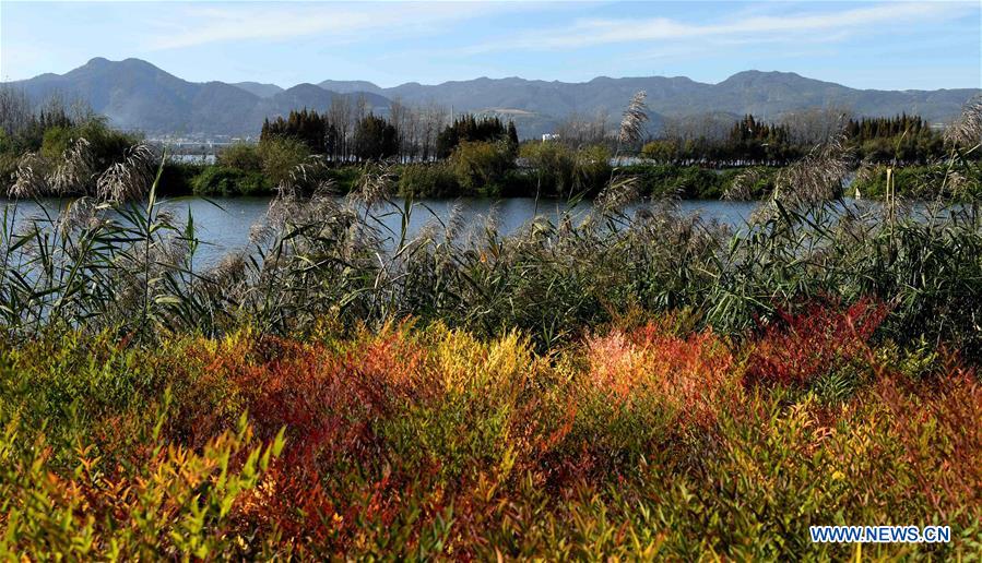 CHINA-YUNNAN-DIAN LAKE-WATER QUALITY IMPROVEMENT (CN)
