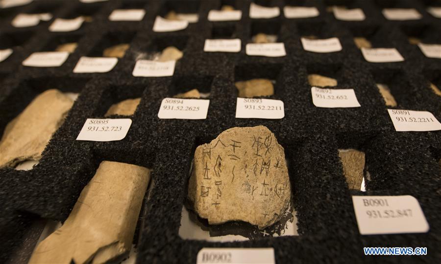 CANADA-TORONTO-ROYAL ONTARIO MUSEUM-ORACLE BONE SCRIPTS COLLECTION