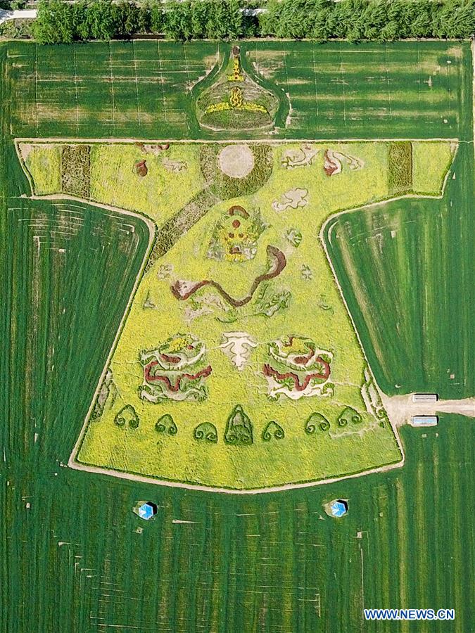 CHINA-NANJING-COLE FLOWER-PATTERN (CN)