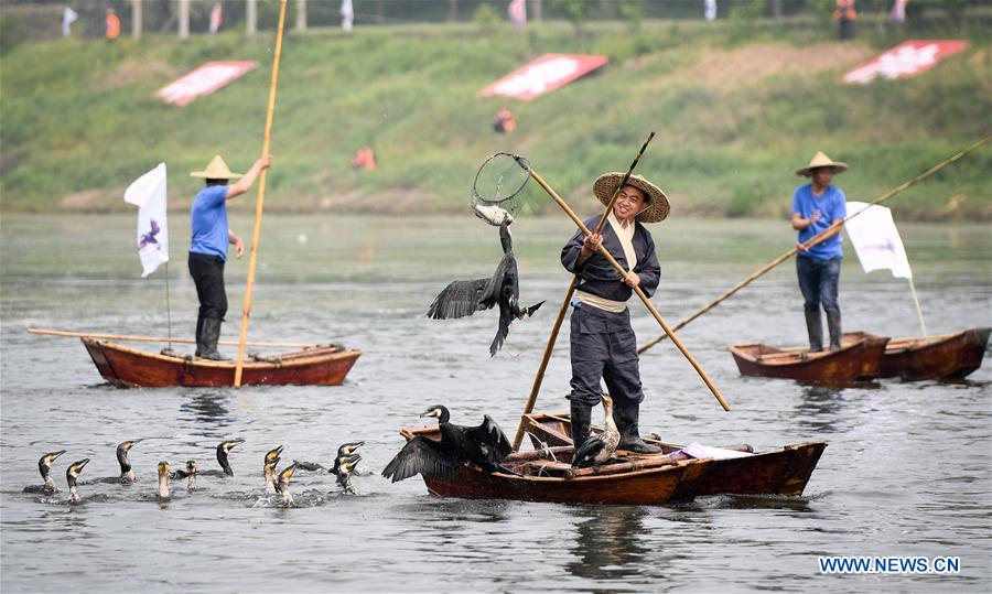 CHINA-ANHUI-CORMORANT-FISHING-HOLIDAY (CN)