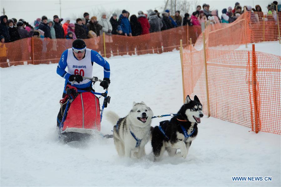 (SP)RUSSIA-NIZHNY NOVGOROD-DOG RACE
