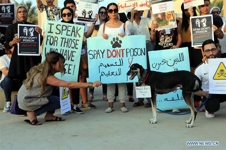 KUWAIT-KUWAIT CITY-RALLY-STRAY ANIMALS-PROTECTION